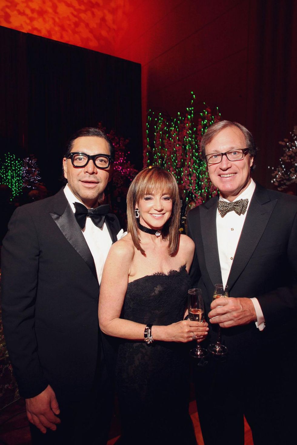014, Houston Ballet Ball, February 2013, Ceron, Janet Guwitch, Ron Franklin