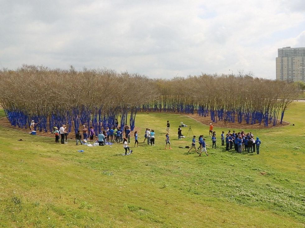 The real story behind those stunning blue trees in Houston Artist