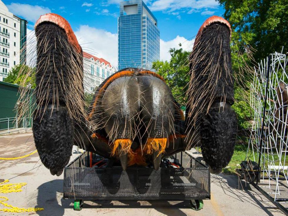 1 Extreme Bugs at Houston Zoo unloading May 2014