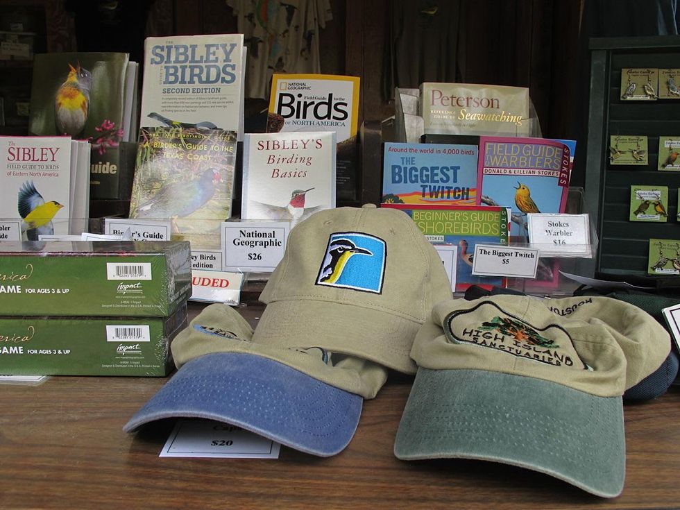 1 Katie Oxford Galveston birds and the oil spill April 2014 Merchandise table at Houston Audubon Bird Sanctuary in High Island