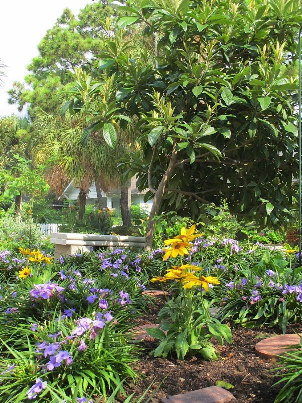 1. Katie Oxford Willem Kegge garden August 2014 Bench, Rudbeckia, and Blue Dwarf petunias