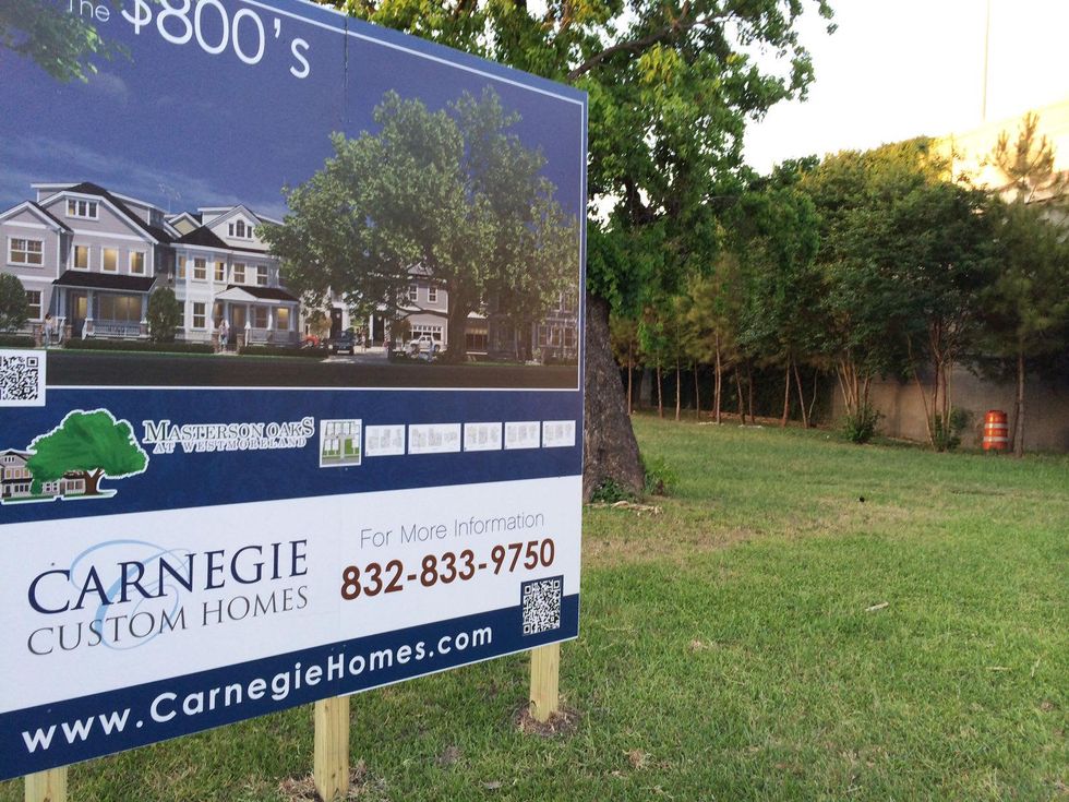 1 old live oak Masterson Oaks at Westmoreland May 2014