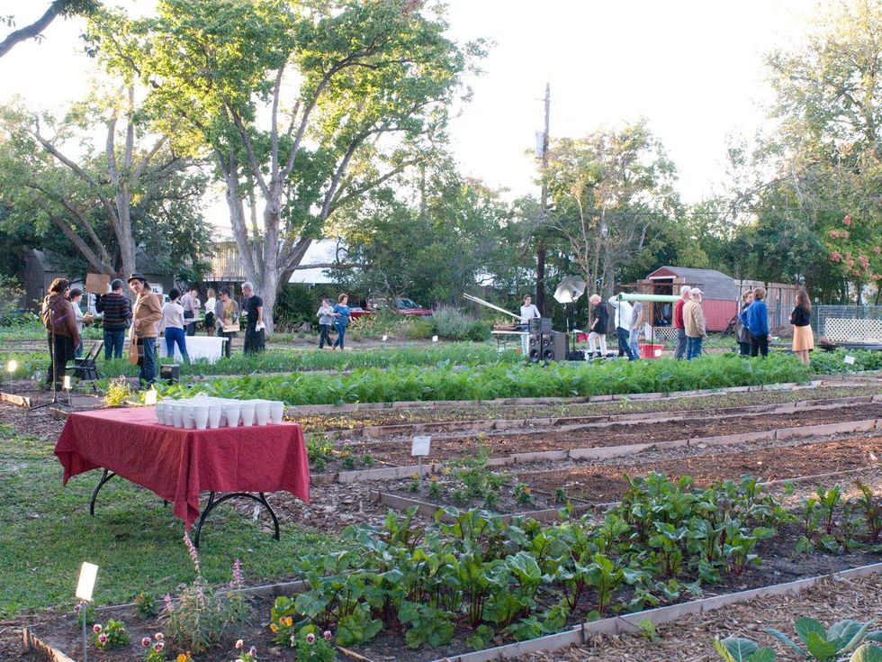 1 Plant it Forward Farm Dinner November 2013