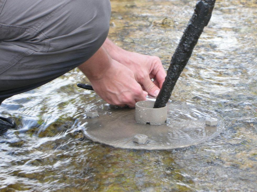 1 spider sculpture Hermann Park April 2014