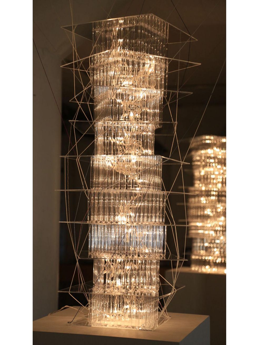 1 Submerged Origin of Species Fresh Arts opening video WHITE SPACE