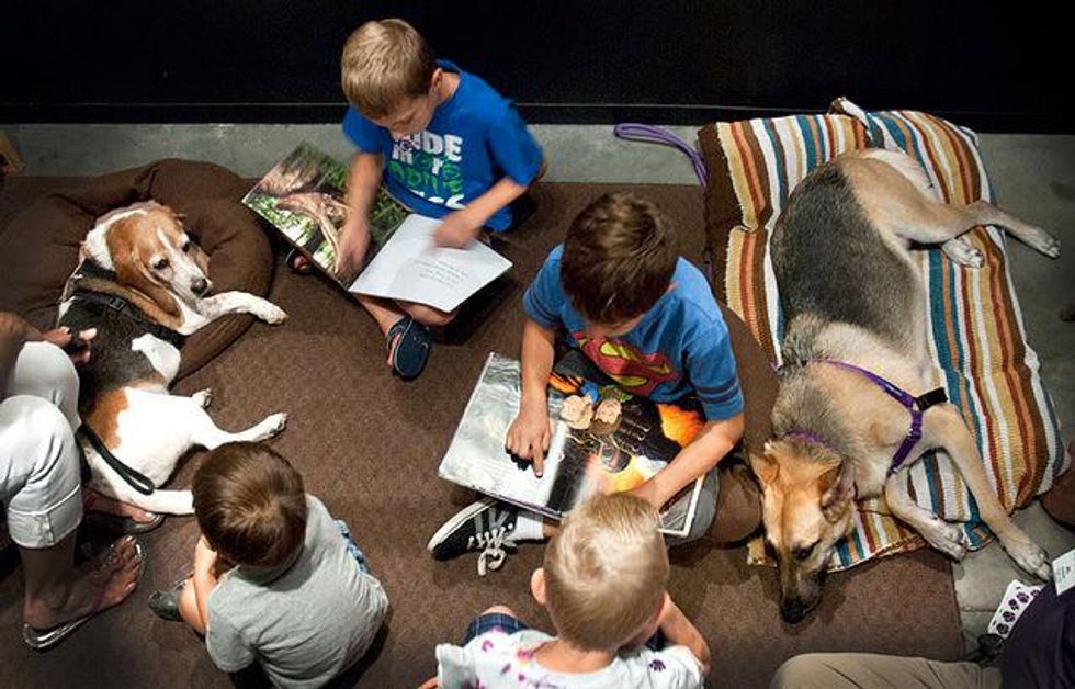 1 therapy dogs reading program at Houston Museum of Natural Science Sugar Land August 2013