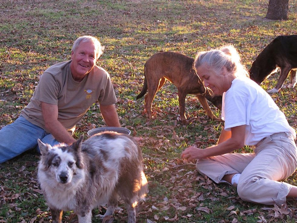 10 Katie on pecans November 2013 Last Thanksgiving, we went pecan pickin\u2019 every chance we could