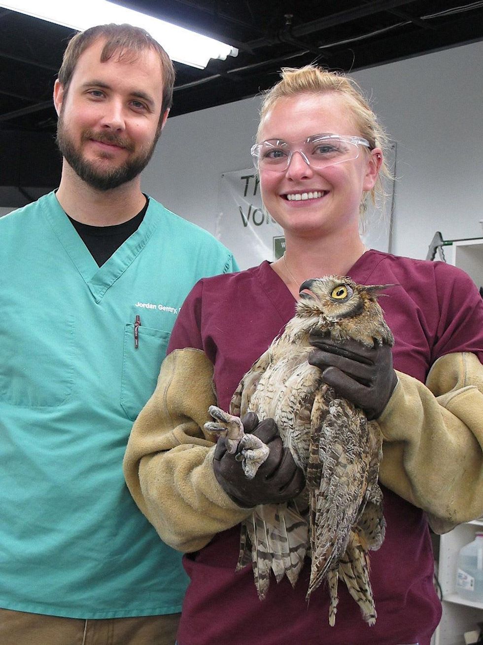 12 Katie Wildlife Center of Texas August 2013 Dr. Jordan Gentry and Lindsey, a Senior Vet student - Great Horned Owl with an abscessed toe