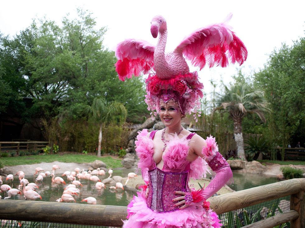 13 Houston Zoo Flock Pink Flamingo Party May 2013 Kasi Kubiak