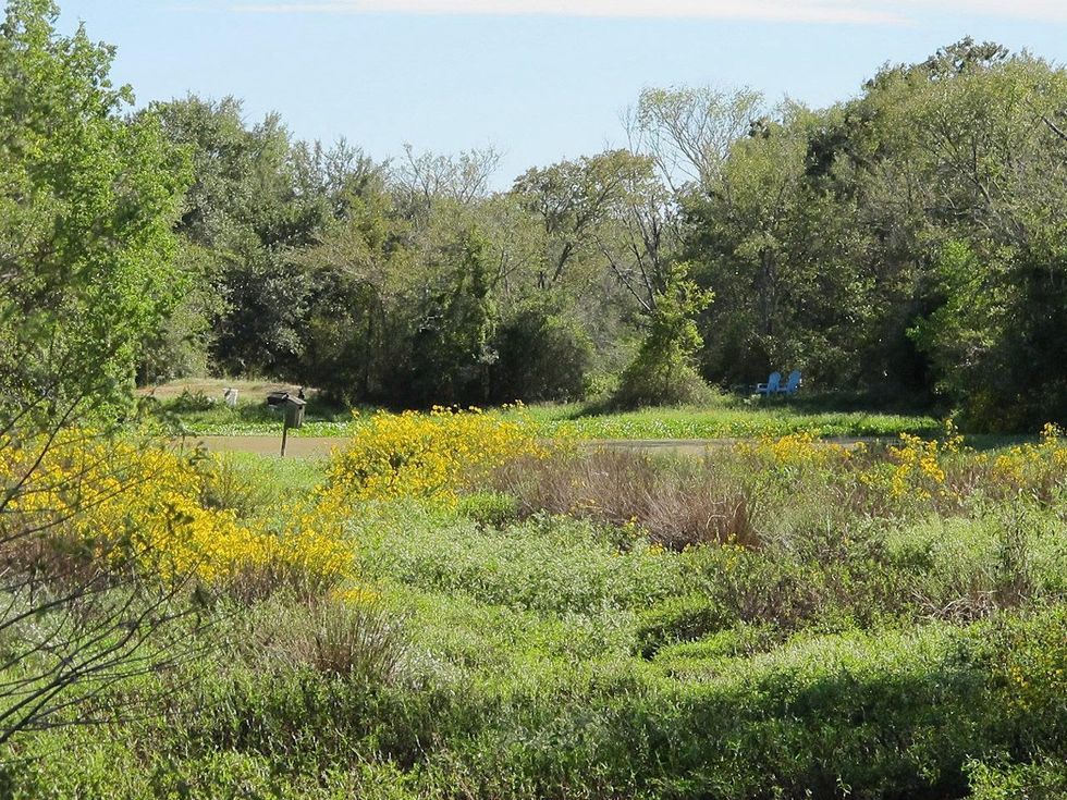 13 Katie Laughing Frog Farm October 2013 Then, they go to the blue chairs by the pond and talk about the day, taking notes.