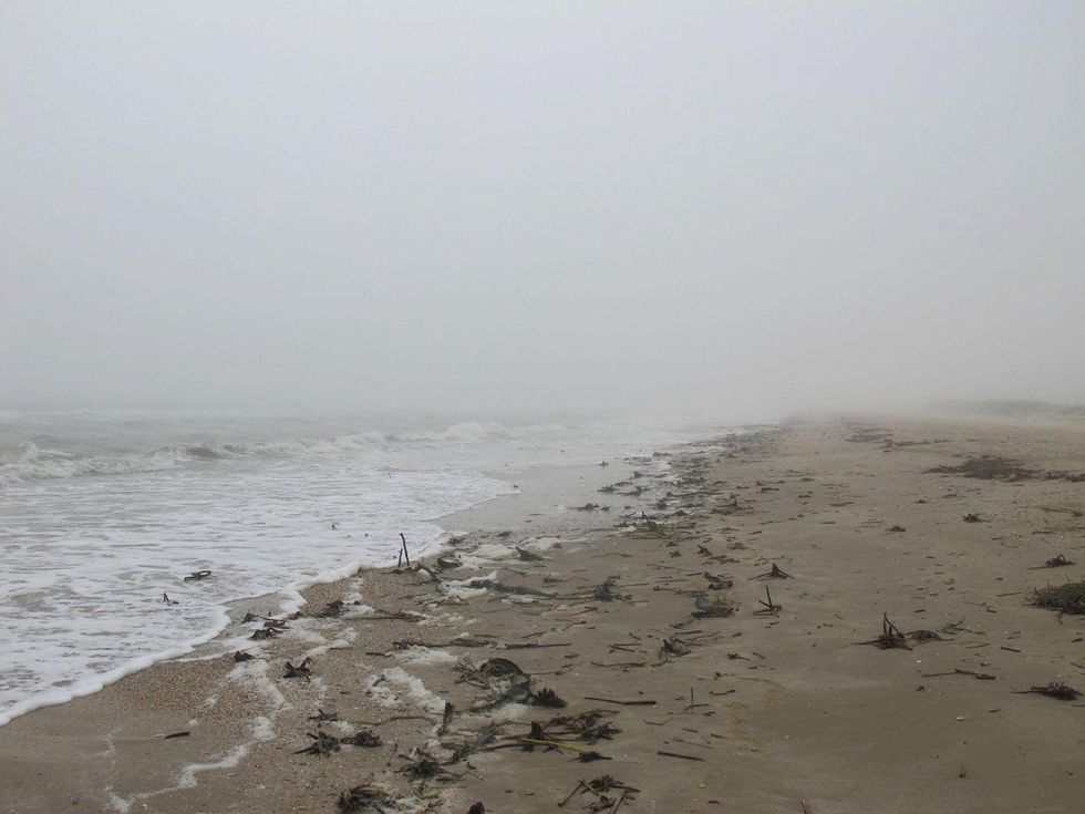 13 Katie Oxford Galveston birds and the oil spill April 2014 Fog in the afternoon. Caplen Beach, Bolivar peninsula