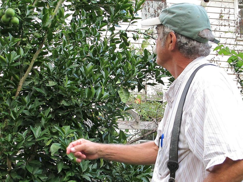 14 Katie Laughing Frog Farm October 2013 Glen and the \u201cHulda\u201d tree
