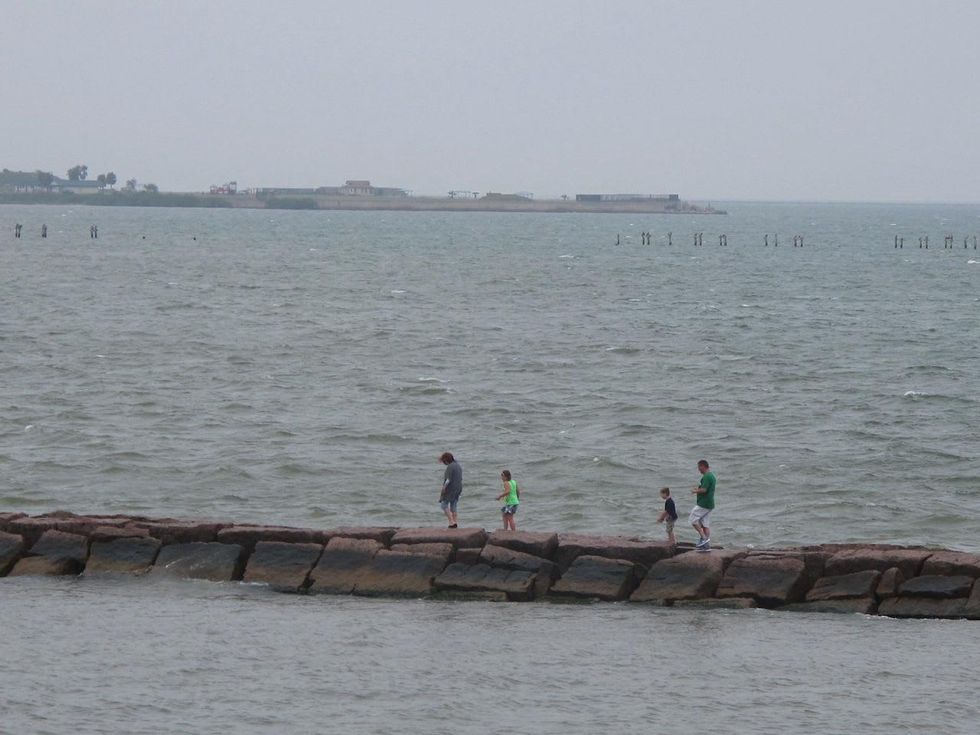14. Katie Oxford Galveston birds and the oil spill April 2014 Bolivar jetty