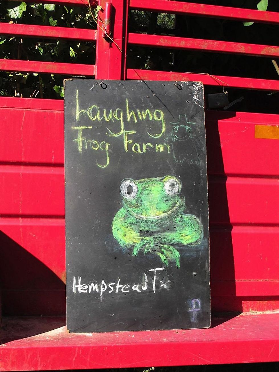 16 15 Katie Laughing Frog Farm October 2013 sign