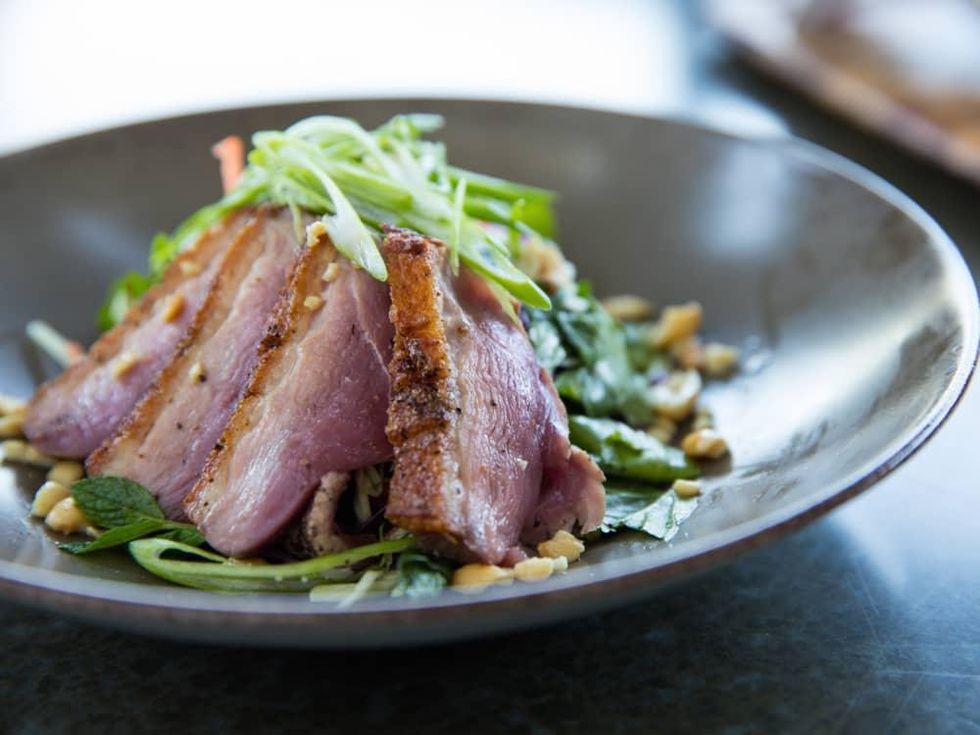 1751 Sea and Bar rohan duck