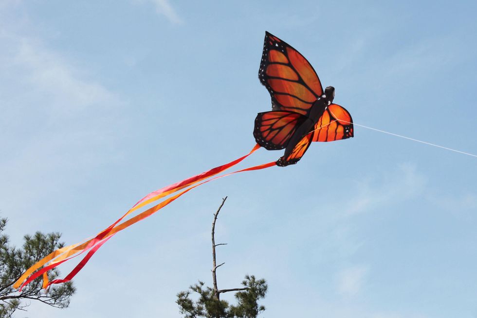 188 Hermann Park Kite Festival March 2014