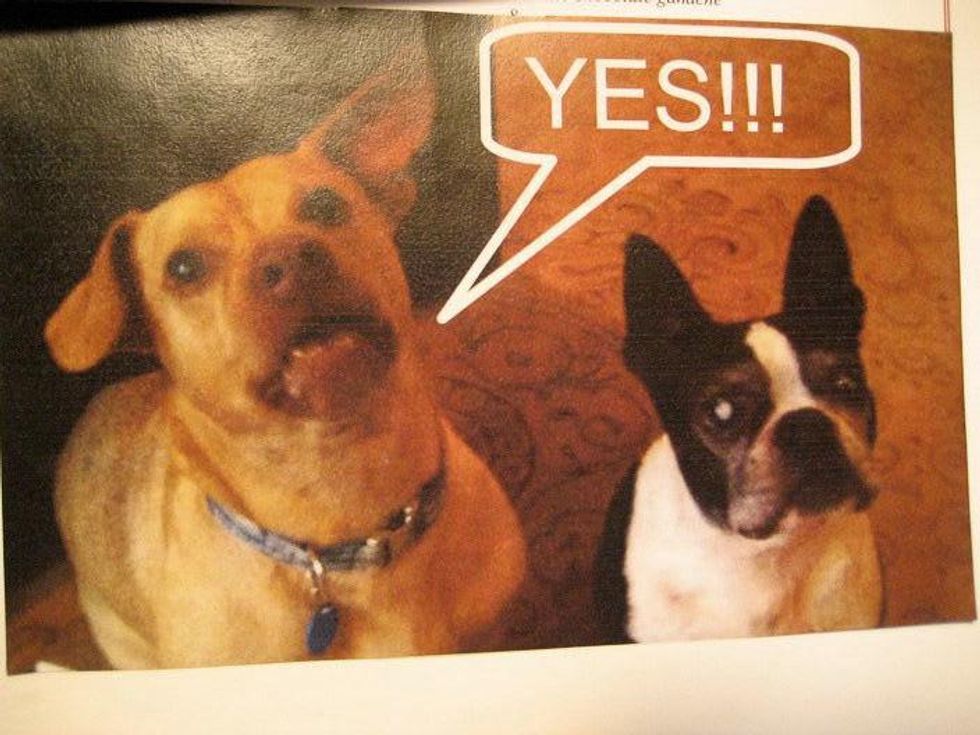 2, Culture Map Proposal Contest 2nd place, Shawn and Justin Culpepper