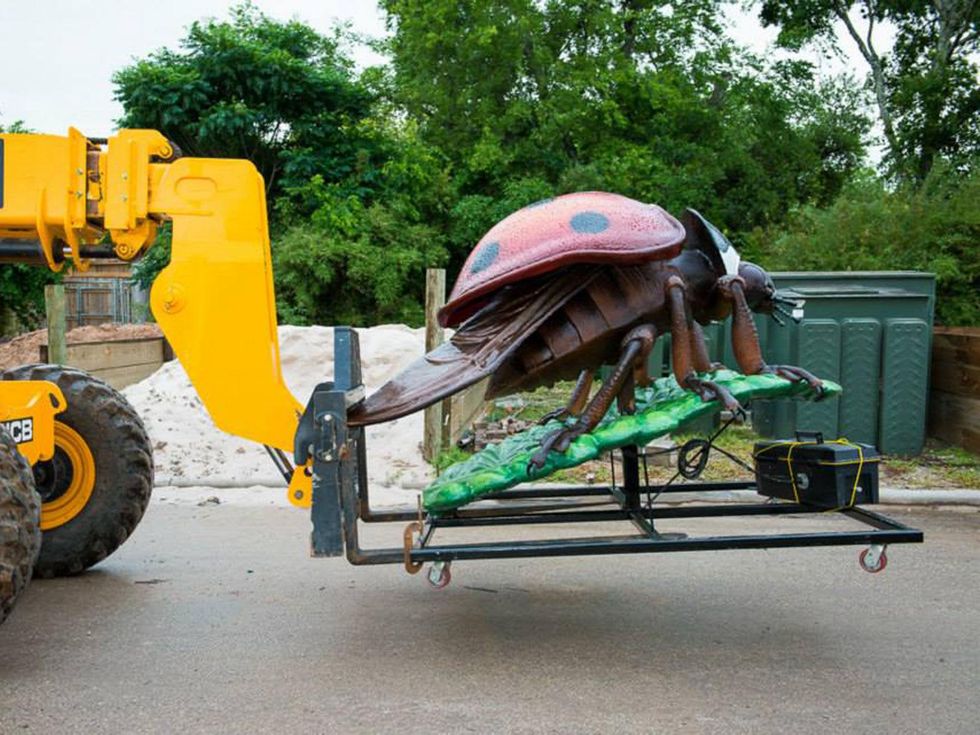 2 Extreme Bugs at Houston Zoo unloading May 2014