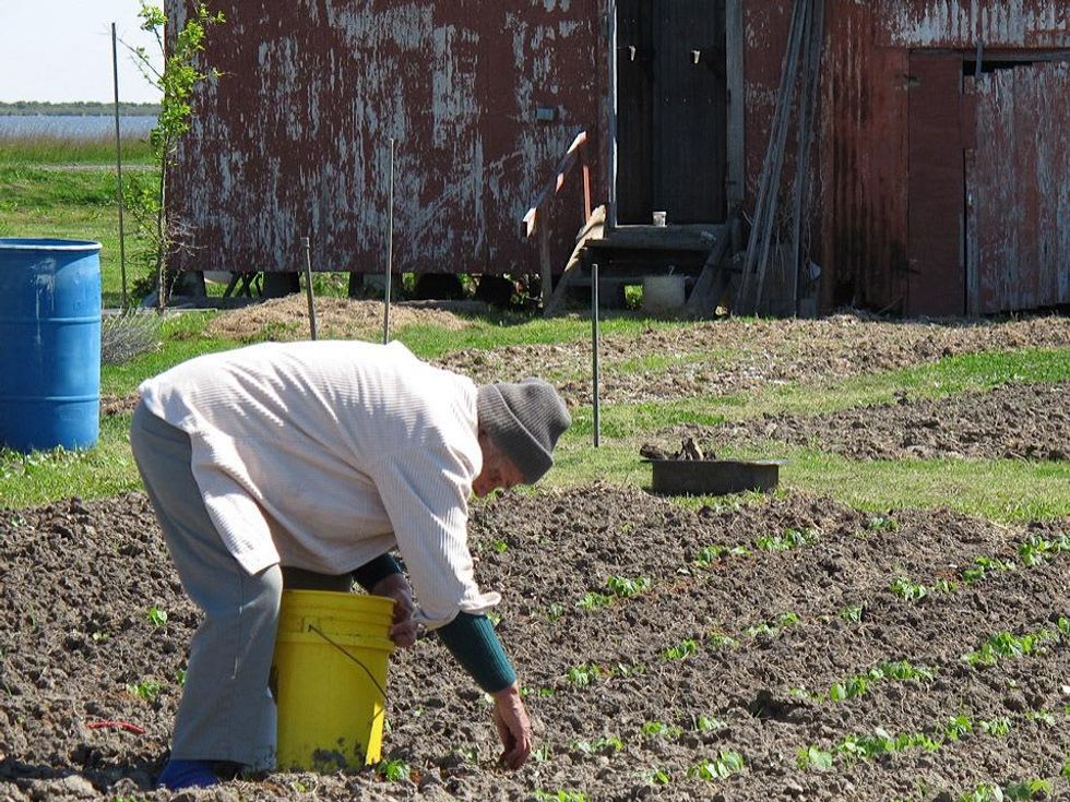 2 Katie Louisiana Revisited part 3 April 2013 Russell\u2019s aunt Nattie Burnet