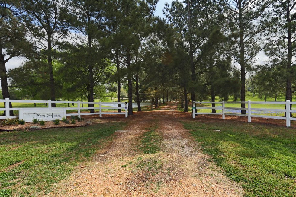 2 On the Market Morning Glory Farm in Brenham November 2014