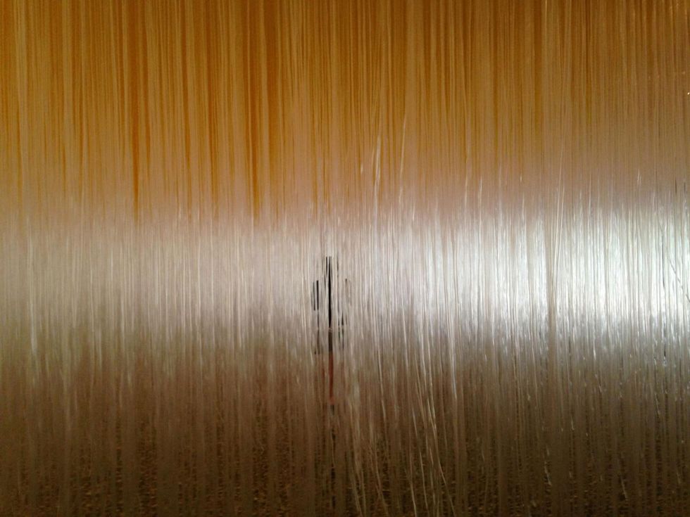 2 Soto Houston Penetrable by Tarra May 2014