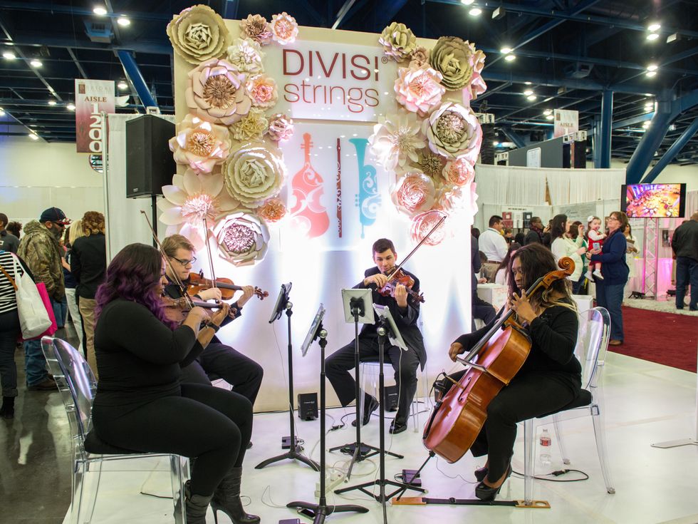 20 Divisi Strings at the Paper Flower Artistry January 2015