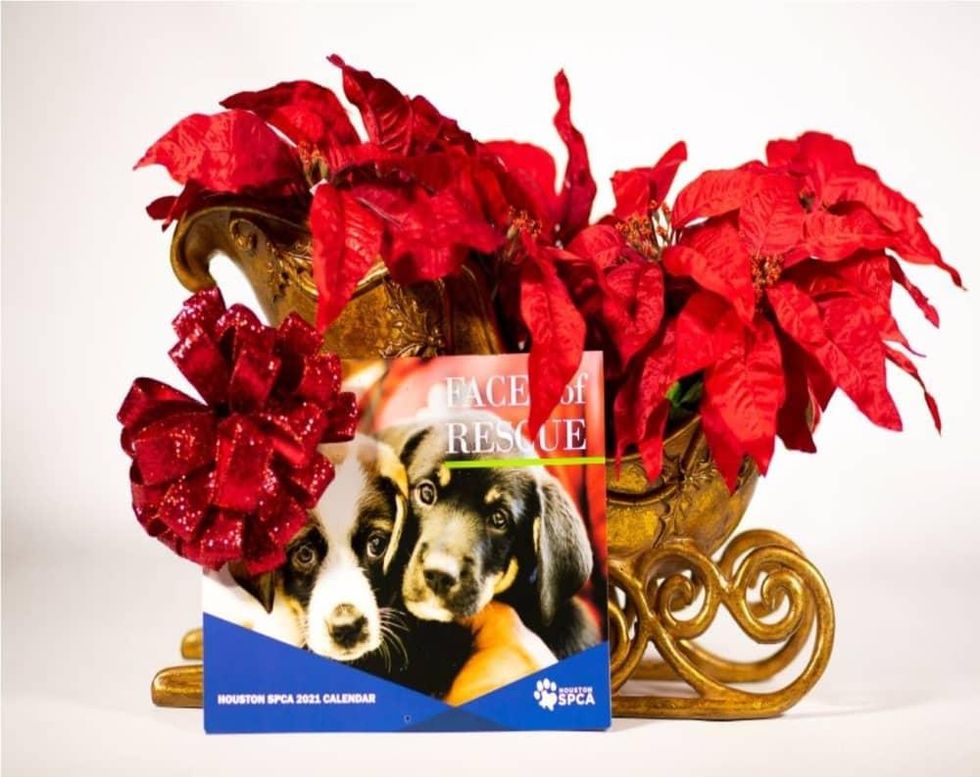 2021 animal calendar