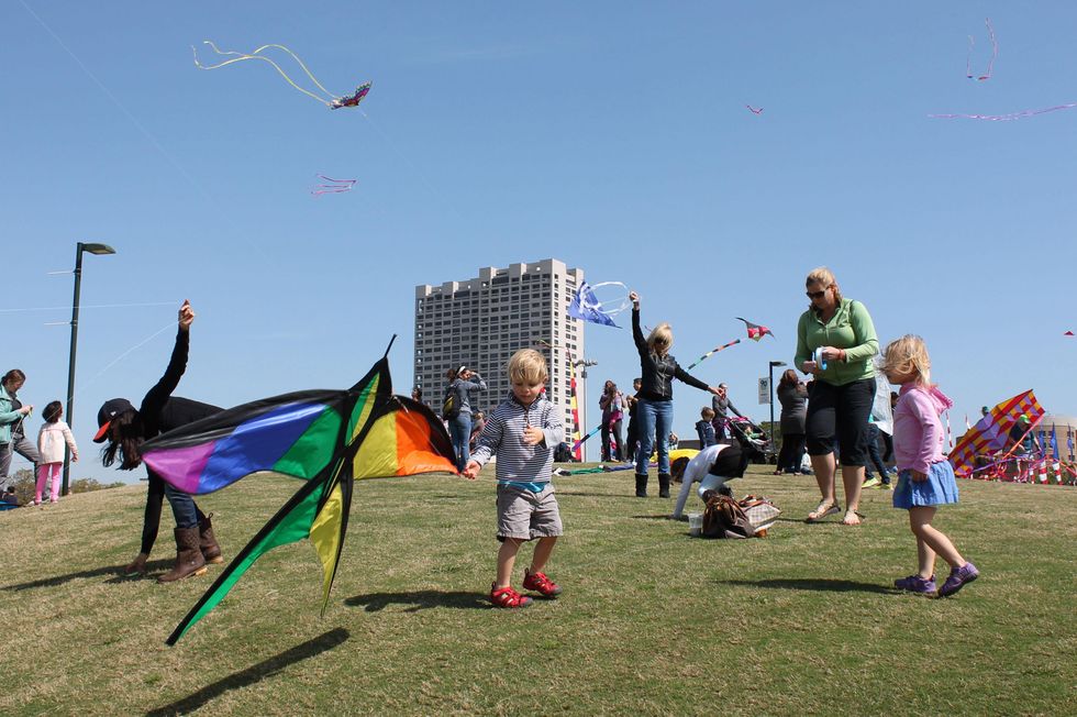 216 Hermann Park Kite Festival March 2014
