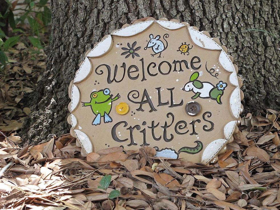 23 Katie Wildlife Center of Texas August 2013 welcome sign