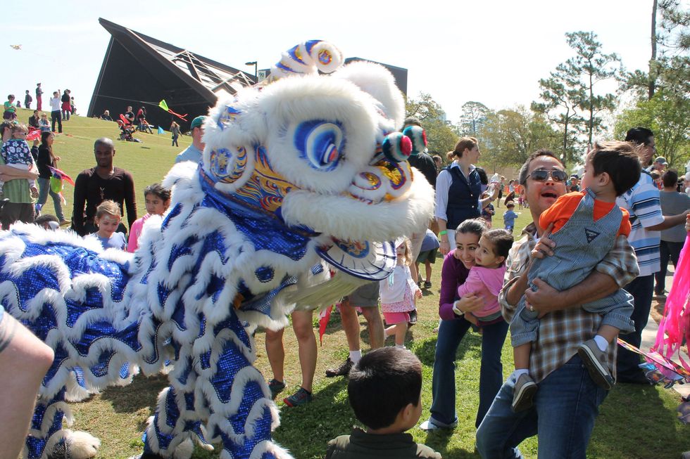 231 Hermann Park Kite Festival March 2014