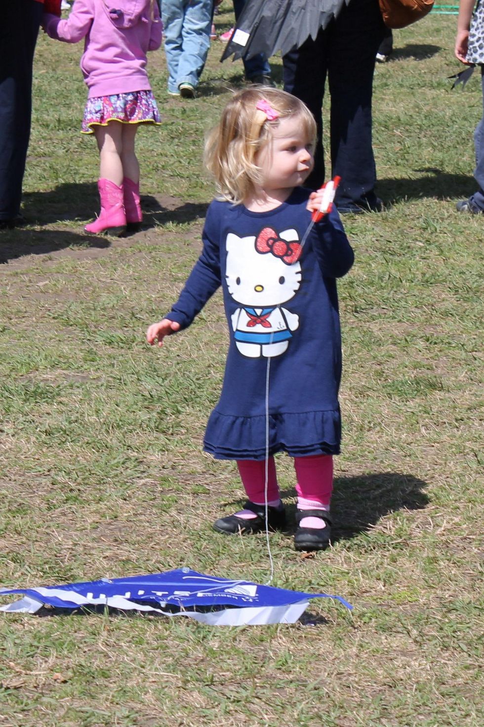 247 Hermann Park Kite Festival March 2014