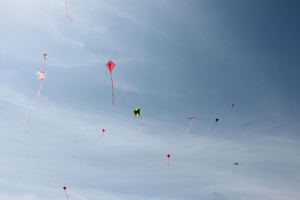 263 Hermann Park Kite Festival March 2014