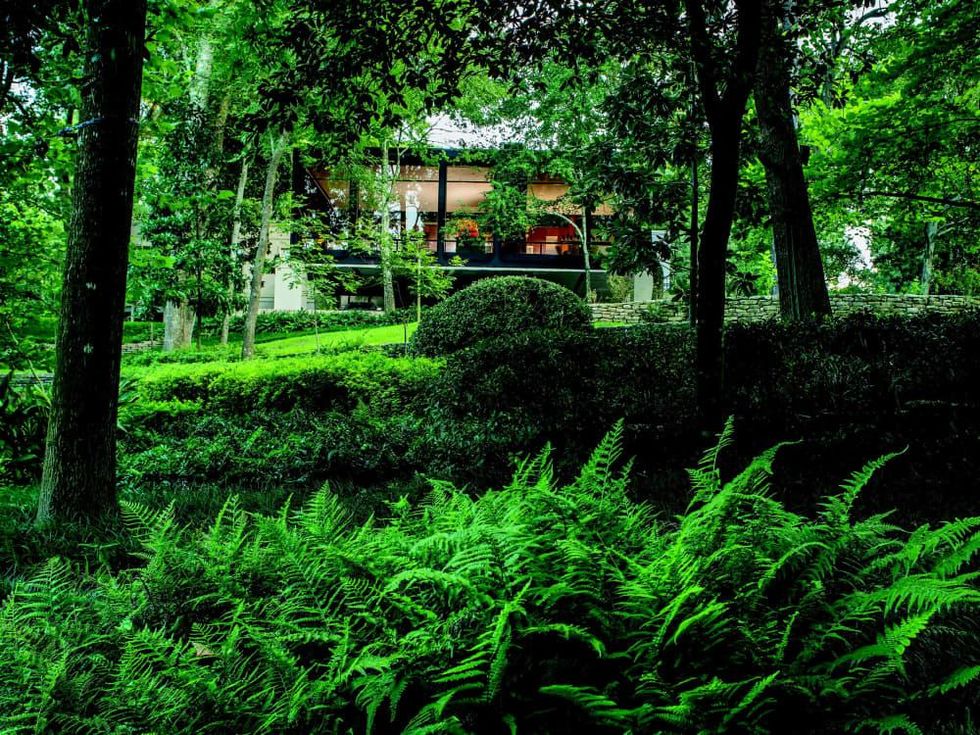 2930 Lazy Lane wooded outdoors