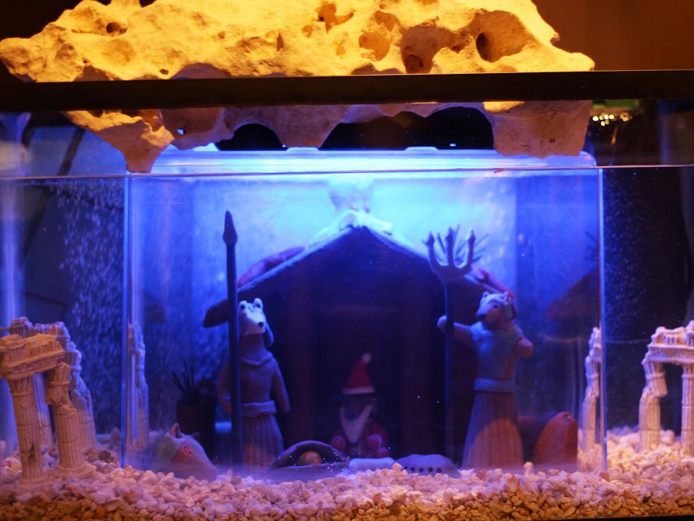 3 Eleven XI's entry at the Lucky Dog Gingerbread Doghouse event December 2013