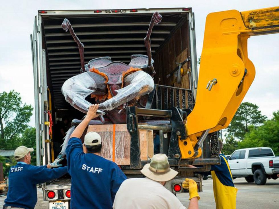 3 Extreme Bugs at Houston Zoo unloading May 2014