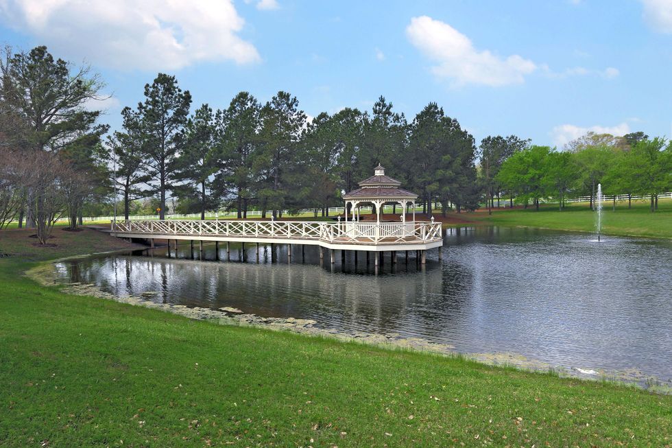 3 On the Market Morning Glory Farm in Brenham November 2014
