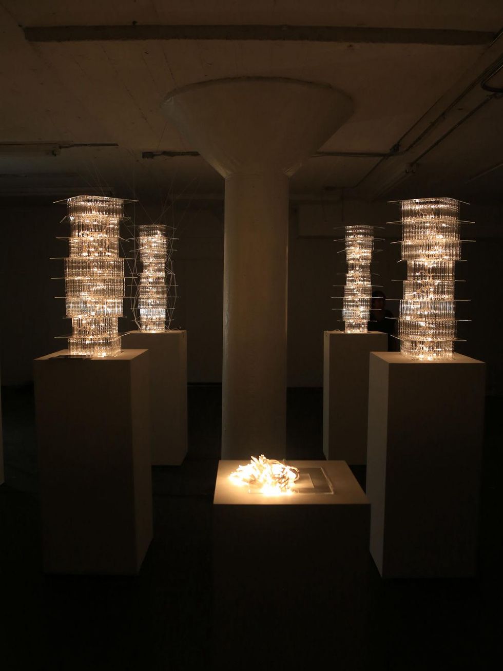 3 Submerged Origin of Species Fresh Arts opening video