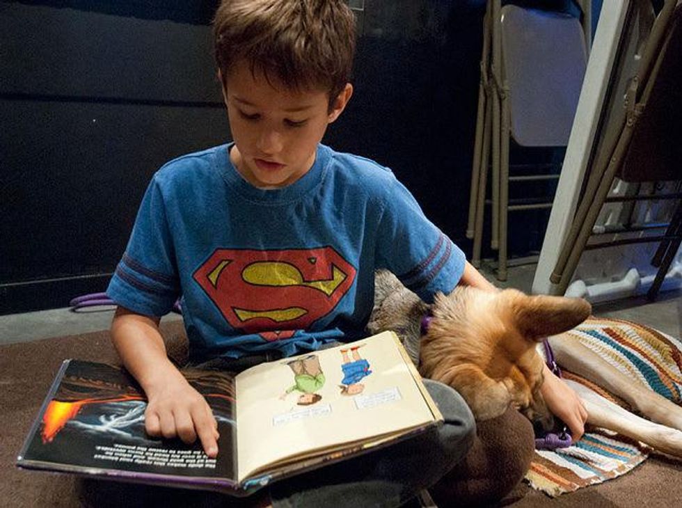 3 therapy dogs reading program at Houston Museum of Natural Science Sugar Land August 2013