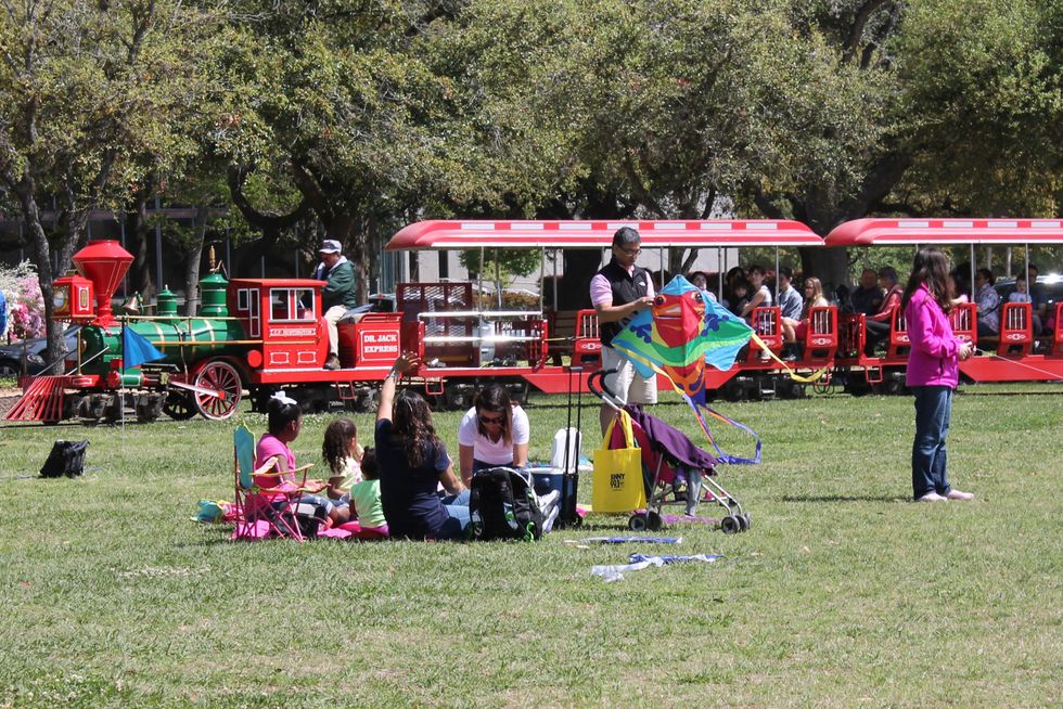 320 Hermann Park Kite Festival March 2014