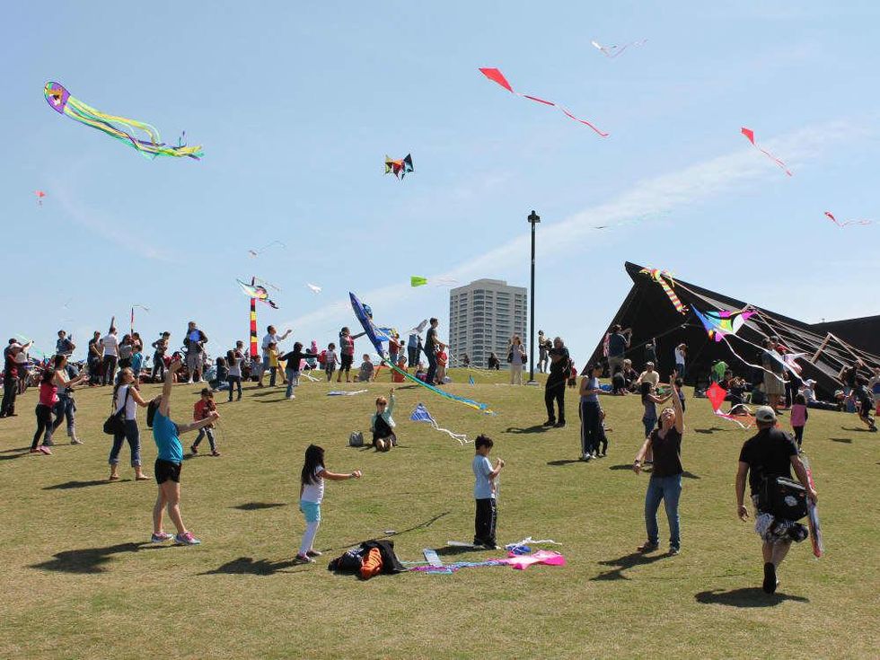 328 Hermann Park Kite Festival March 2014