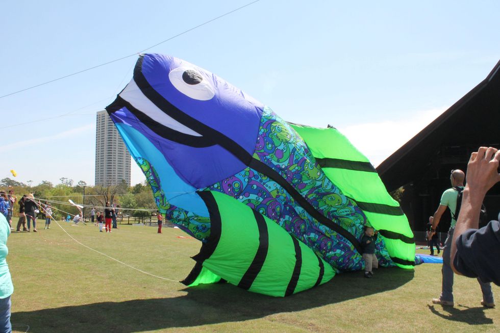 348 Hermann Park Kite Festival March 2014