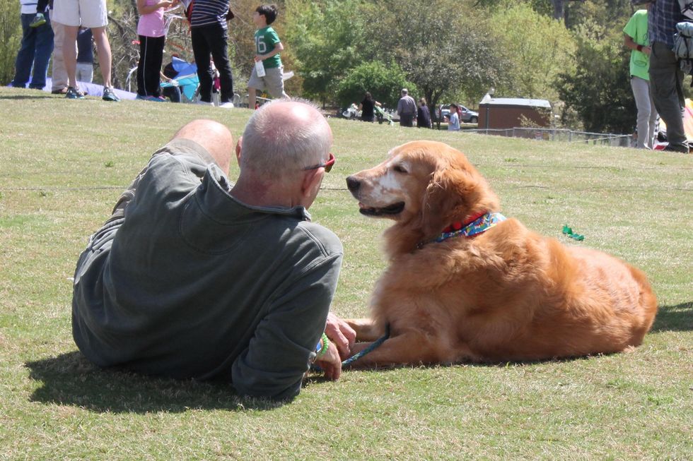 352 Hermann Park Kite Festival March 2014