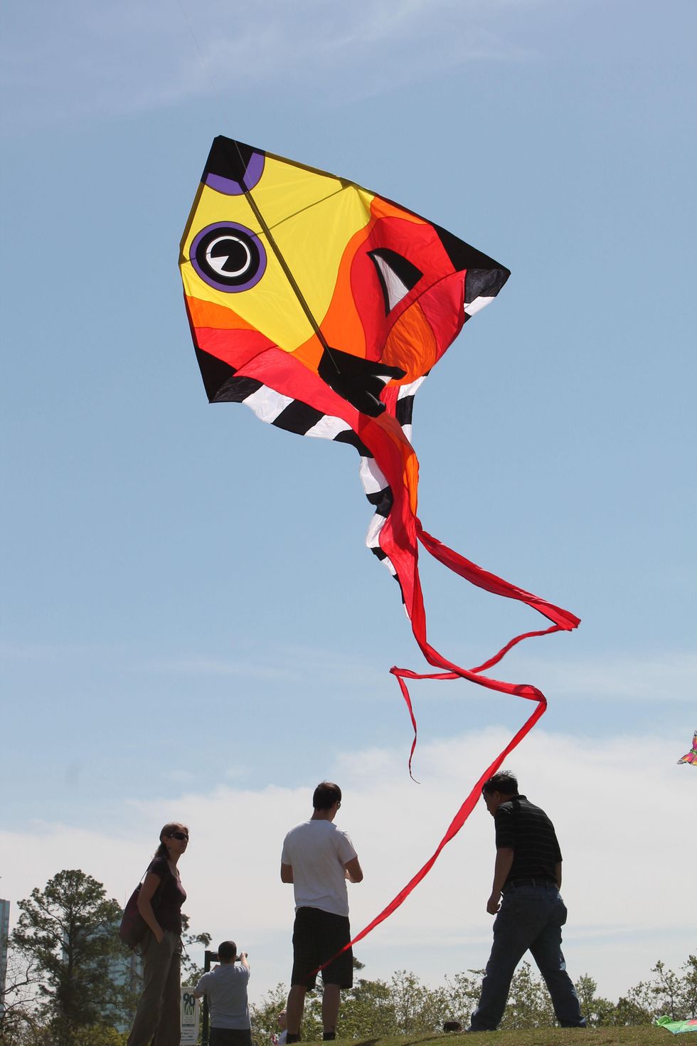 358 Hermann Park Kite Festival March 2014