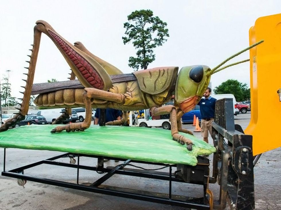 4 Extreme Bugs at Houston Zoo unloading May 2014