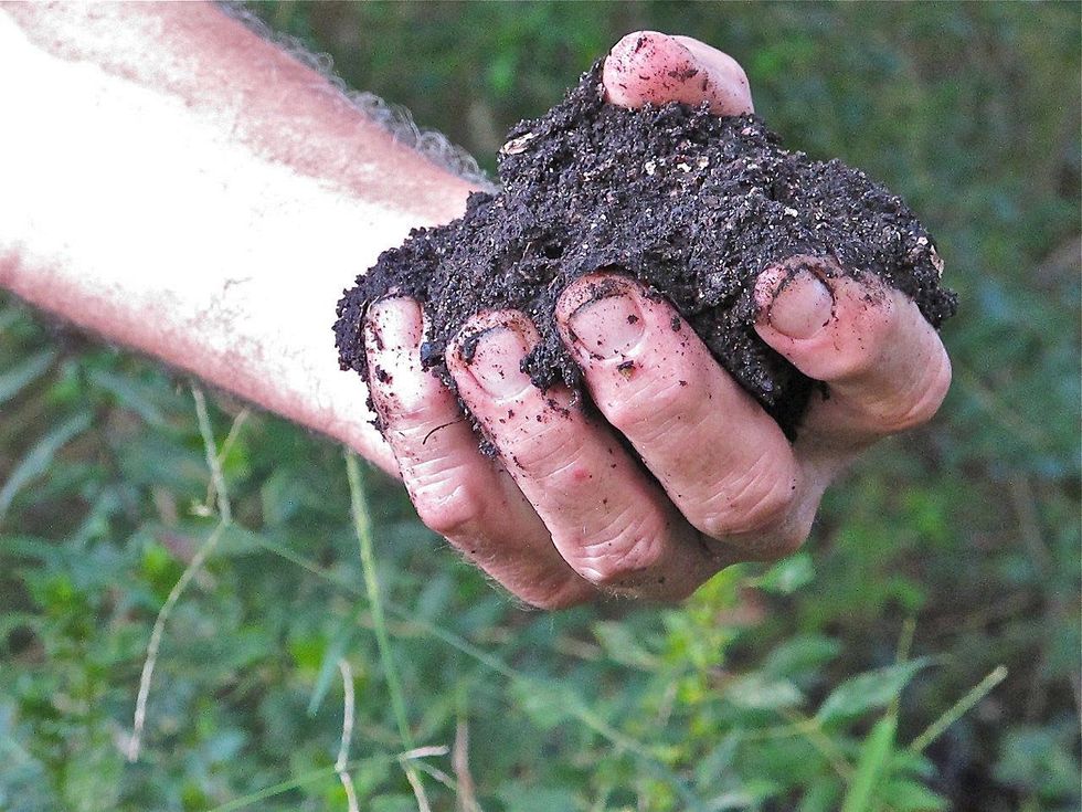 4 Katie Laughing Frog Farm October 2013 \u201cThis dirt is ready to use,\u201d Glen said. \u201c The worms have done all their work.\u201d
