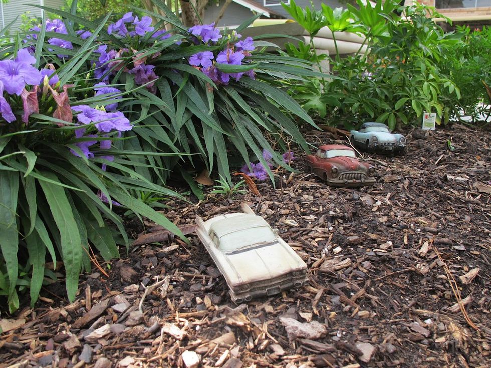 4. Katie Oxford Willem Kegge garden August 2014 If you look closer, you might find other things of interest