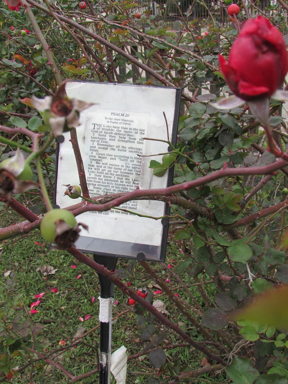 4 labyrinth January 2015