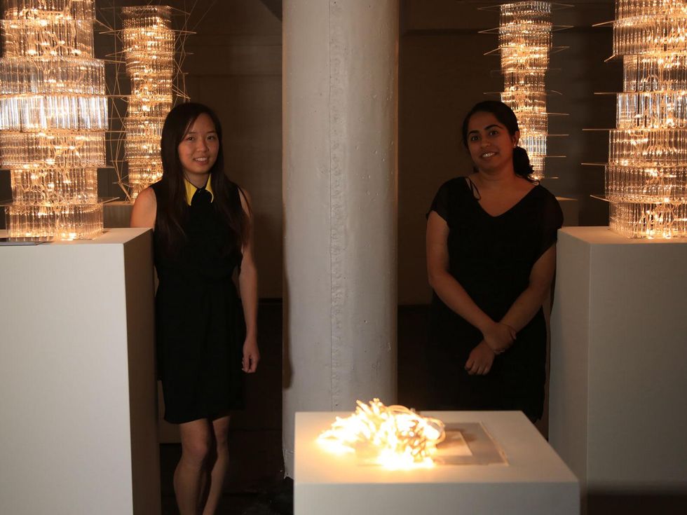 4 Submerged Origin of Species Fresh Arts opening video