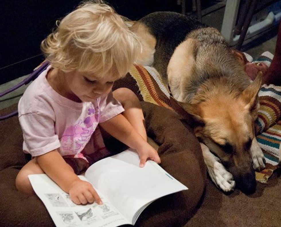 4 therapy dogs reading program at Houston Museum of Natural Science Sugar Land August 2013
