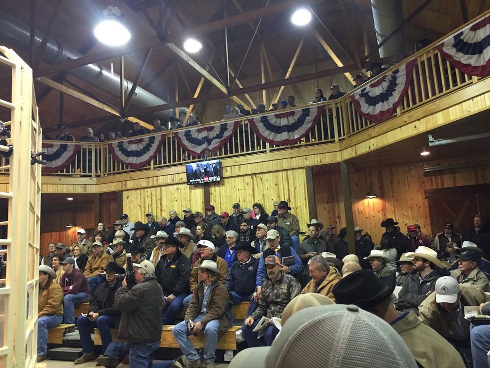 44 Farms auction
